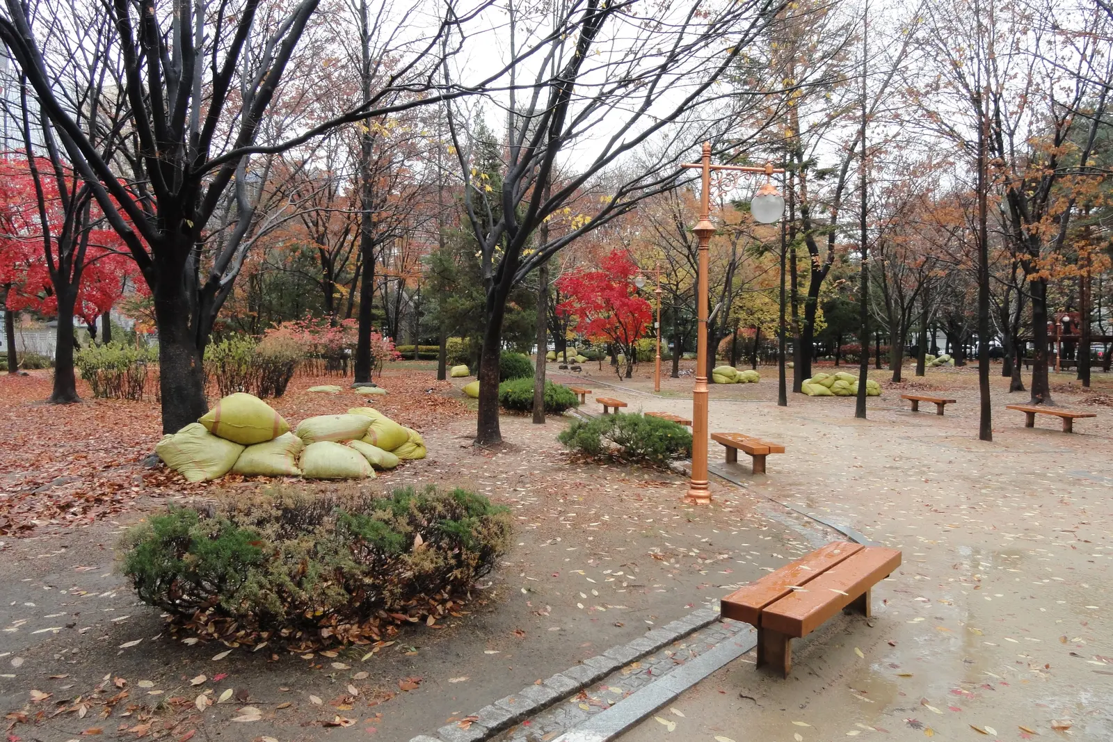 The green paths and memorial grounds of Dosan Park in Gangnam
